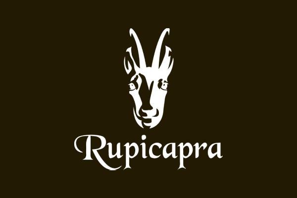 22 Χρόνια εμπειρίας με συνεχή εξέλιξη